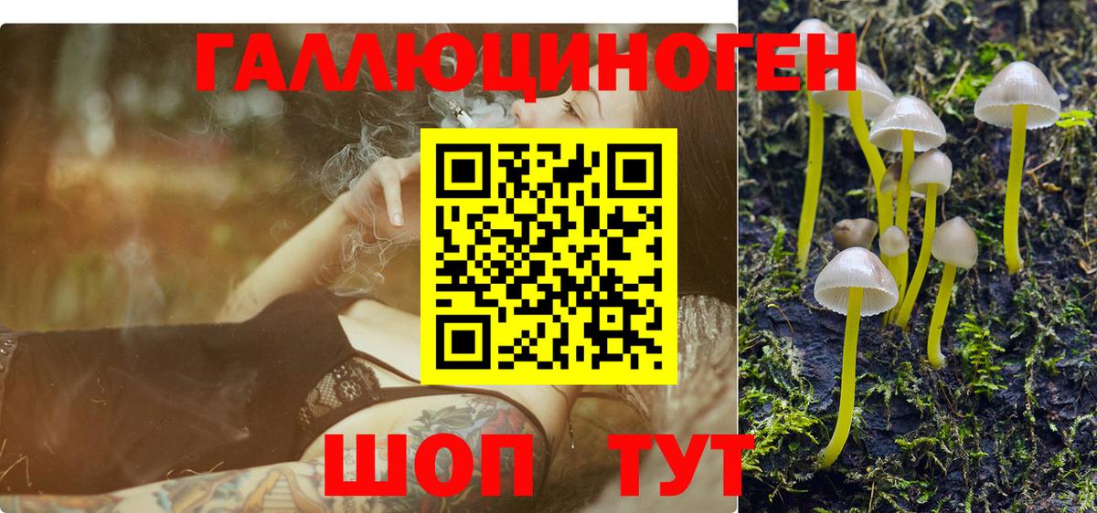 Псилоцибиновые грибы Cubensis  Псилоцибиновые грибы мицелий  Серов  Вход с VPN 